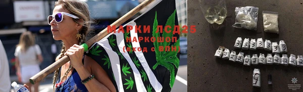 индика Коряжма
