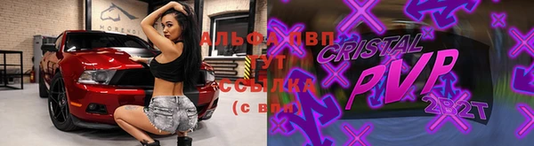 индика Коряжма