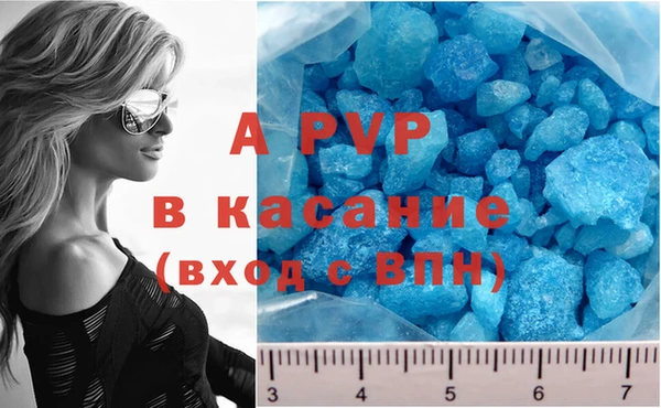 индика Коряжма