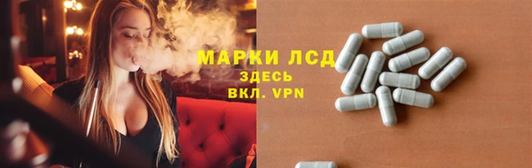 индика Коряжма