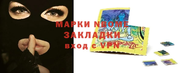 индика Коряжма