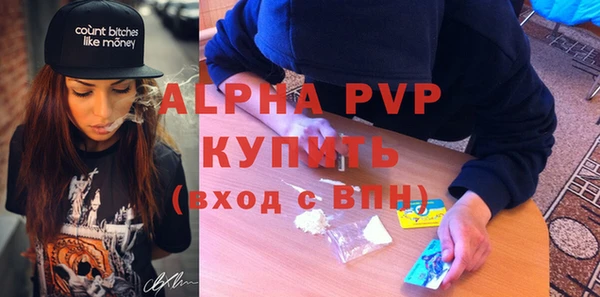 индика Коряжма