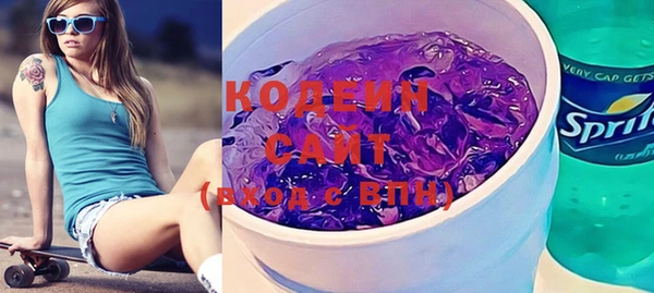 индика Коряжма