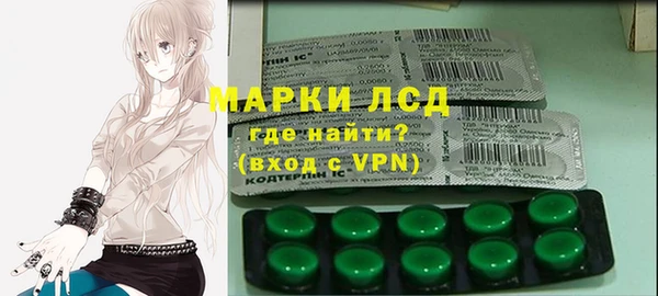 индика Коряжма