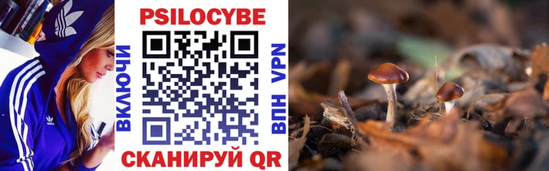 Псилоцибиновые грибы Psilocybe  Хвалынск 
